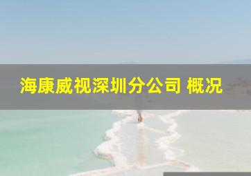 海康威视深圳分公司 概况